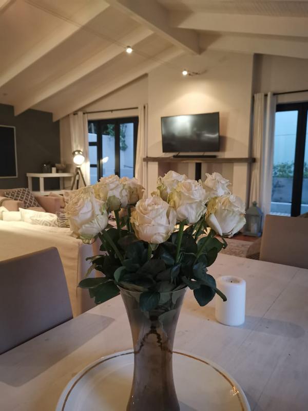 To Let 3 Bedroom Property for Rent in Newlands Western Cape